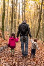 Fall Family Portrait Walking In Beech Forest 