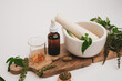 herbal medicine with pestle and mortar.capsule, oil, and tablet form with fresh herbal. Health and wellness concept