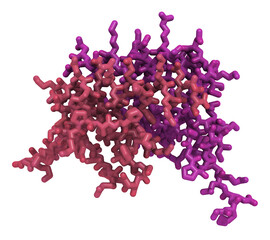 Poster - Interleukin 8 (IL-8) cytokine protein. IL8 can be secreted by macrophages and a number of other cell types and is involved in the chemotaxis of neutrophils to infection sites. 