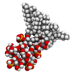 Sticker - Lipopolysaccharide (LPS, lipid A and inner core fragment) endotoxin molecule from E. coli.