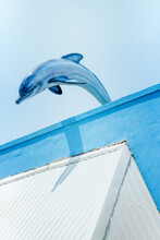 Dolphin Decoration
