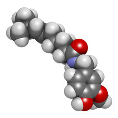 Sticker - Capsaicin chili pepper molecule, 3D rendering. Used in food, drugs, pepper spray, etc.  Atoms are represented as spheres with conventional color coding