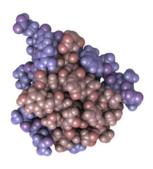 Poster - Insulin peptide hormone, 3D rendering. Important drug in treatment of diabetes. Chains shaded in different colors, atoms shown as spheres.