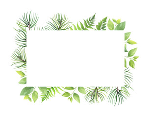 Wall Mural - Greenery frame with pine, fern and wild herbs. Vector illustration.