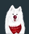 White Cute Samoyed husky Dog Christmas 