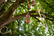Verschiedene Musikinstrumente hängen im Baum