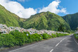 Landstraße zwischen bergen und blühender Hortensien auf der Azoren Insel Sao Miguel 