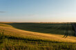 © Demetr White/Stocksy - Beautiful landscape of field with wheat on sunset