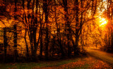 Fototapeta Przestrzenne - An autumn scene, falling leaves, digital art