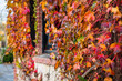 © Gillian Vann/Stocksy - vine covered house in autumn