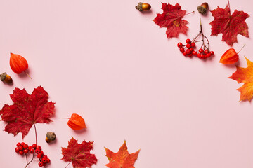 Wall Mural - Autumn flat lay composition. Frame made of red maple leaves, rowan, physalis flowers on pastel pink background. Minimal style. Top view.