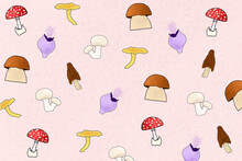Assorted Mushrooms Illustration