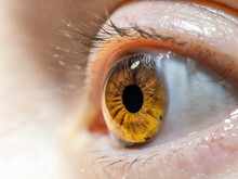 Close Up Of Female Eye, Colored Iris Useful For Ophthalmology Or Optometry Imagery