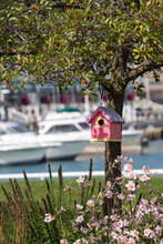 Pink Birdhouse And Flowers