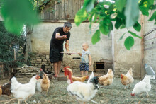 Grandson And Grandad Feeding The Chickens Together