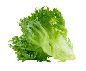Wall Mural - Fresh lettuce leaves on transparent png
