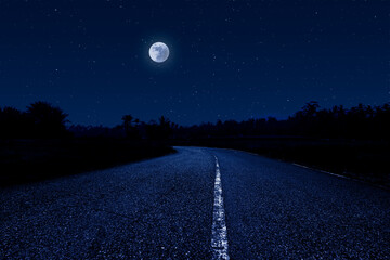 Wall Mural - empty road through forest at night.