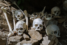 The Skull In The Old Grave, This Cave Is Located In Yende, Roon Island, Teluk Wondama District, West Papua Province.