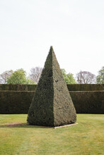 Large, Tall, Pyramid Shaped Topiary Bush In The Centre Of A Lawn
