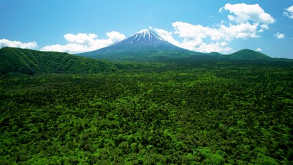 Wall Mural - 青木ヶ原樹海と富士山を空撮