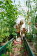 © AD Astra Team/Stocksy - Mom and daughter pick vegetables in the garden