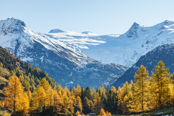 Sticker - Snow capped mountains and autumn colors