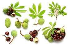 Collage Of Fresh Chestnuts With Green Leaves And Flowers On White Background