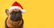 Cute French bulldog in Santa hat on yellow background with space for text