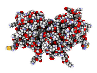 Sticker - Interferon gamma (IFNg) cytokine molecule, 3D rendering. Recombinant form used in treatment of osteopetrosis and chronic granulomatous disease. 