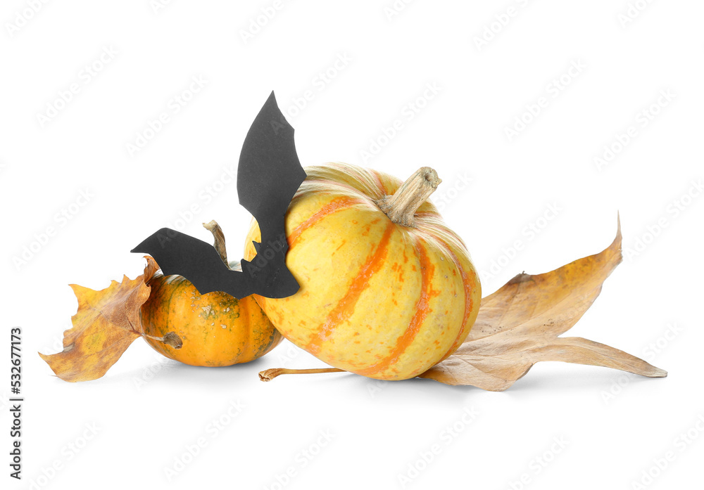 Halloween pumpkins with paper bat and fallen leaves on white background