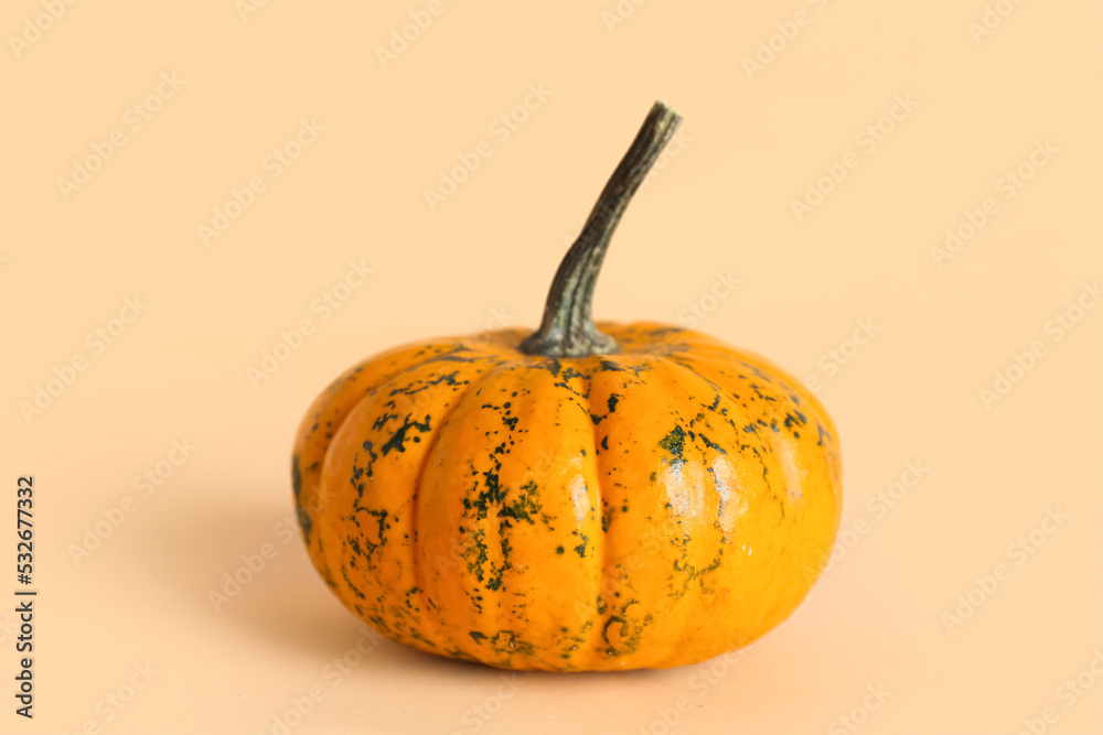 Ripe Halloween pumpkin on color background