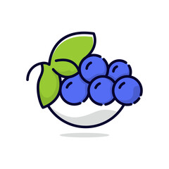 Poster - fresh blueberry illustration cartoon design