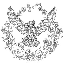 Flowers And Owl Hand Drawn For Adult Coloring Book