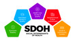 © Calin - SDOH - social determinants of health - vector infographic illustration