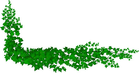 Wall Mural - ivy liana green creepy plant, cartoon vine climber