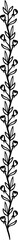 Poster - Elegant page or text separator with floral pattern