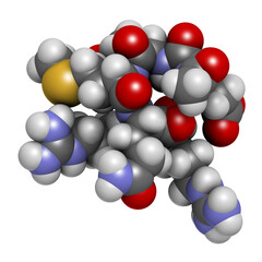 Poster - Acetyl hexapeptide-3 (argireline) molecule. 3D rendering.  Peptide fragment of SNAP-25. Used in cosmetics to treat wrinkles.