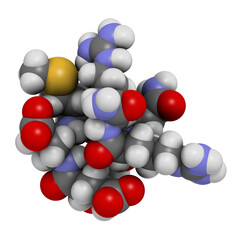 Sticker - Acetyl hexapeptide-3 (argireline) molecule. 3D rendering.  Peptide fragment of SNAP-25. Used in cosmetics to treat wrinkles.