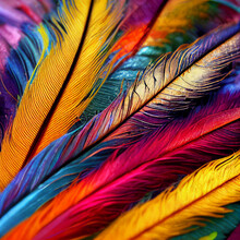 Fairy Birds Of Multi-colored Feathers As A Background