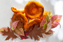 Flat Lay View Of Huge Poisonous Omphalotus Illudens Or Eastern Jack-o'lantern Mushrooms Set With Colourful Leaves On Pale Background, Quebec City, Quebec, Canada