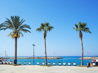 Side promenade with palm trees, Turkey