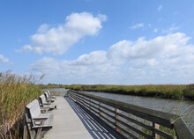 Visitors Can Sit Along The Boardwalk Trail, And Enjoy The Natural Beauty Of The Bombay Hook National Wildlife Refuge, In Kent County, Smyrna, Delaware.