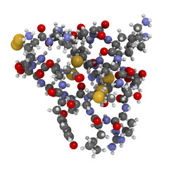 Wall Mural - Ziconotide pain drug molecule. Synthetic form of omega conotoxin from cone snail.