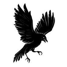Black Crow Silhouette Vector