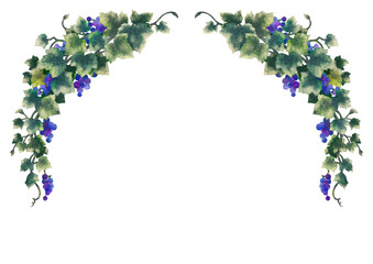 Wall Mural - Grapes illustration frame 07-2	