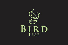 Bird Fly Animal With Leaf Abstract Nature Symbol Line Art