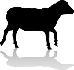 Poster - Sheep or Lamb Farm Animal in Silhouette