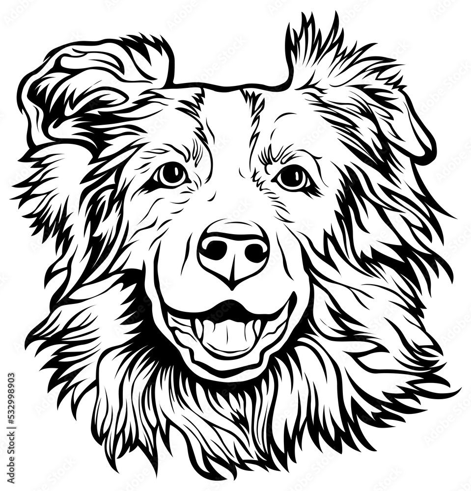 Hand drawn face of dogs. Black and white png illustration mascot art ...