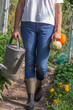 © JPC-PROD - Activities in an organic vegetable greenhouse.