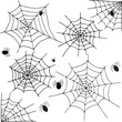© Olga - halloween spider web png